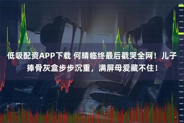 低吸配资APP下载 何晴临终最后戳哭全网！儿子捧骨灰盒步步沉重，满屏母爱藏不住！