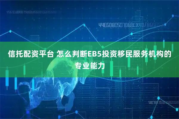 信托配资平台 怎么判断EB5投资移民服务机构的专业能力